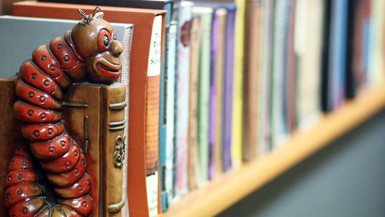 A close up shot of a shelf full of books help up by a ornate boo