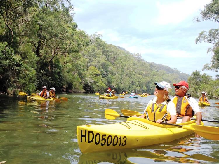 A couple kayak through the water with a group of others in Pittw