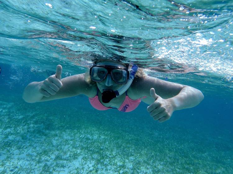 The top snorkelling spots in Sydney