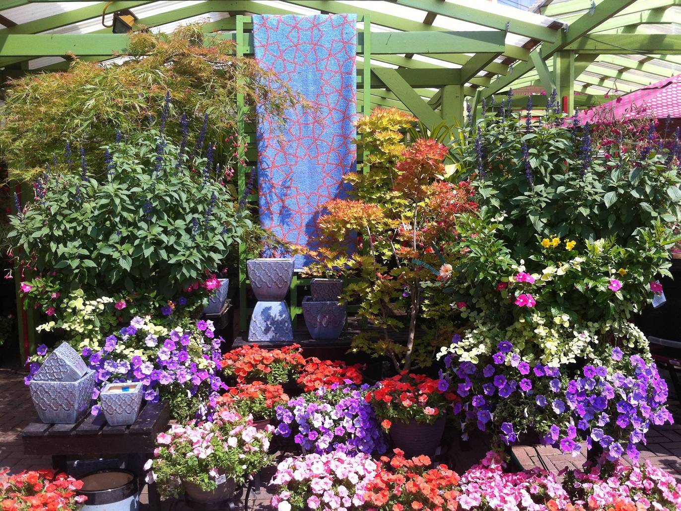 14 Chicago Plant Stores For Finding Home Greenery