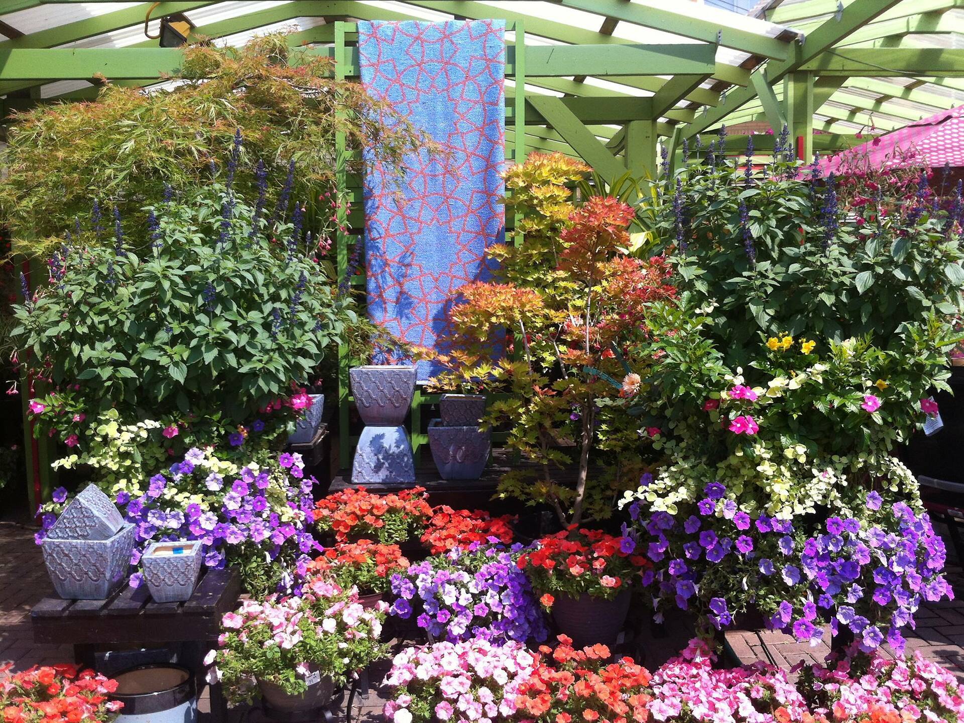 14 Chicago Plant Stores For Finding Home Greenery