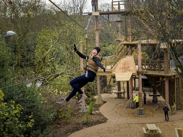 Everyone's talking about... Go Ape making locals go ape Everyone's talking about... Go Ape making locals go ape
