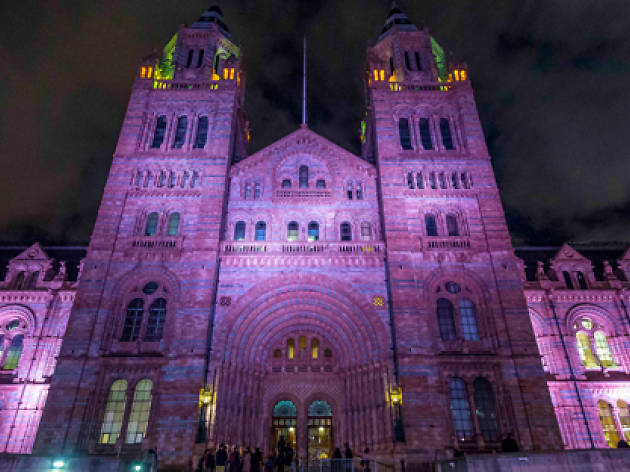After-school Club for Grown-ups at the Natural History Museum After-school Club for Grown-ups at the Natural History Museum