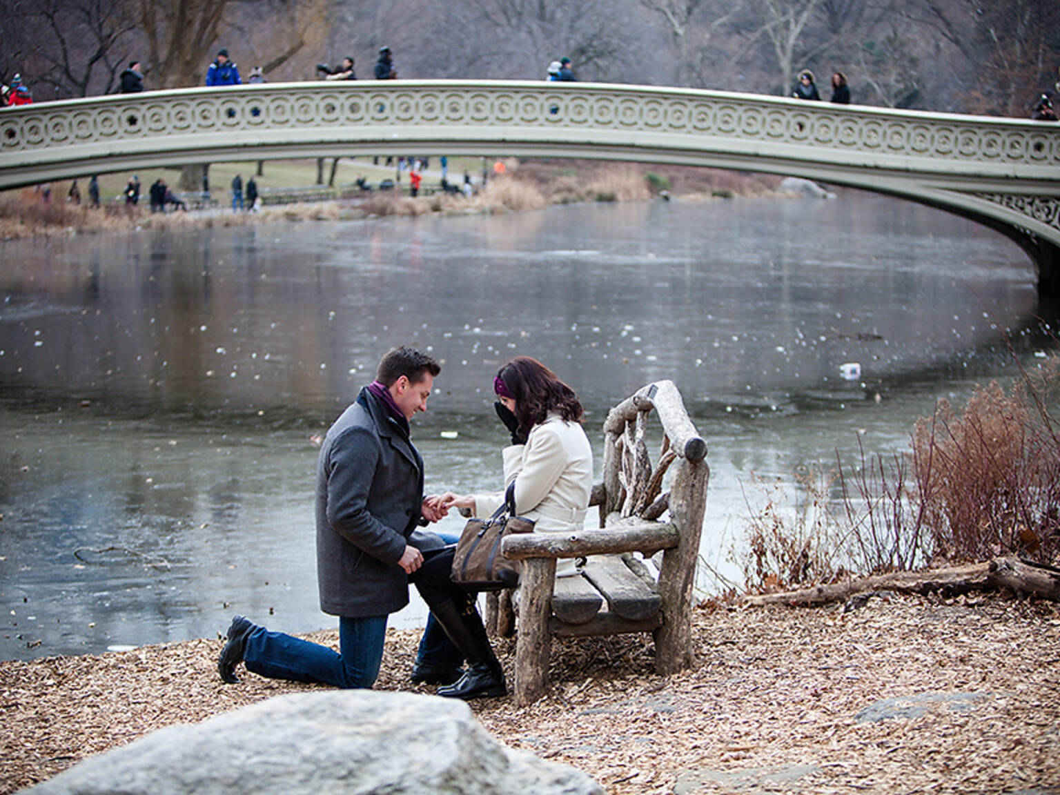 Photos of the most romantic engagement spots in NYC