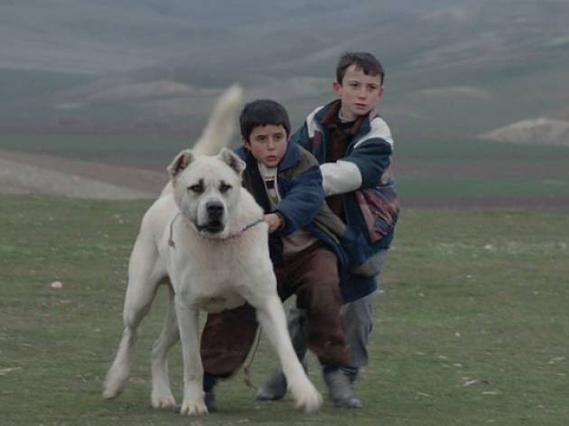 Sivas Sivas, película de Kaan Müjdeci