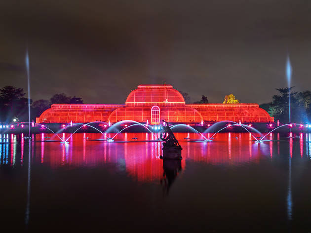 A greenhouse at Kew Gardens lit up with red light for Christmas. A greenhouse at Kew Gardens lit up with red light for Christmas.