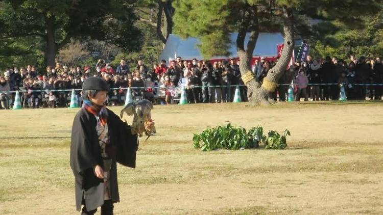 Hamarikyu Garden Falconry Performance | Time Out Tokyo