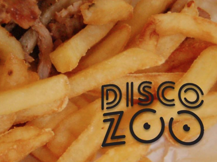 Discozoo