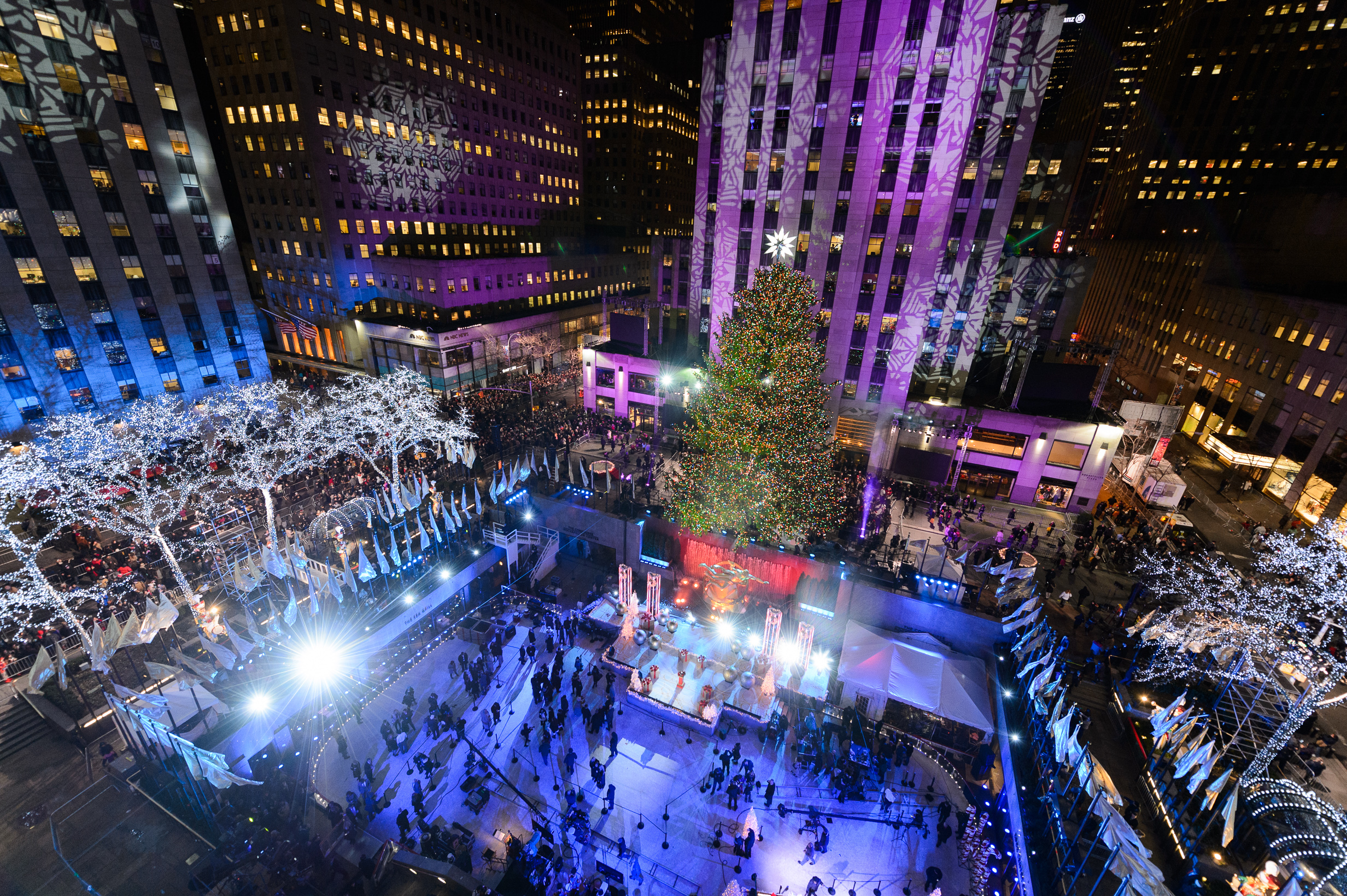 new-york-s-best-christmas-trees