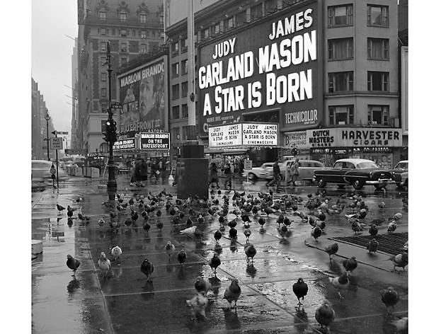 Times Square with Pigeons by Frank Oscar Larson copy RAINY TIMES SQUARE