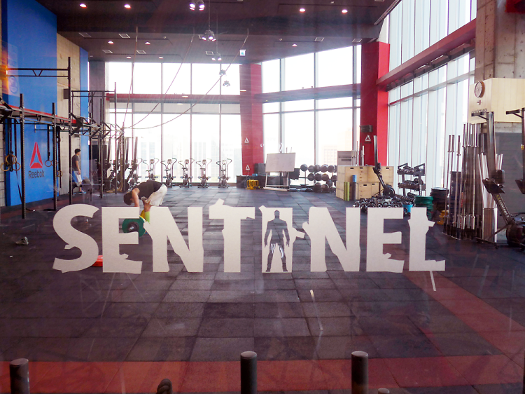 Crossfit sentinel IFC