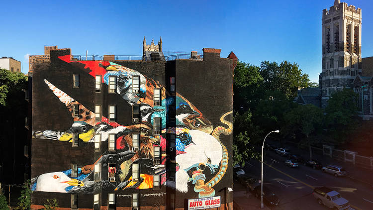 The Audubon Mural Project, Upper Manhattan