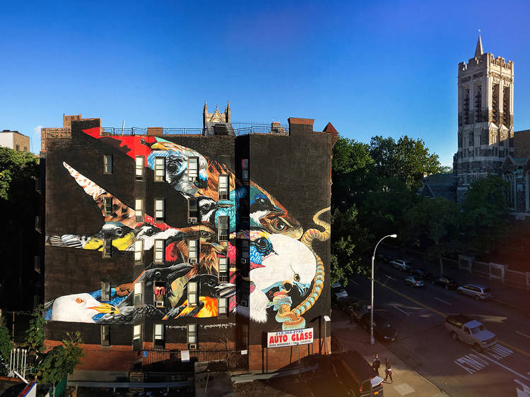 The Audubon Mural Project, Upper Manhattan