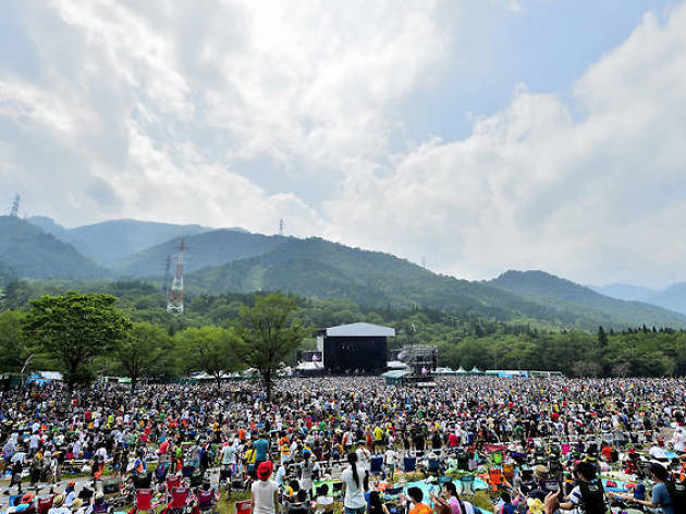 Fuji Rock Fuji Rock