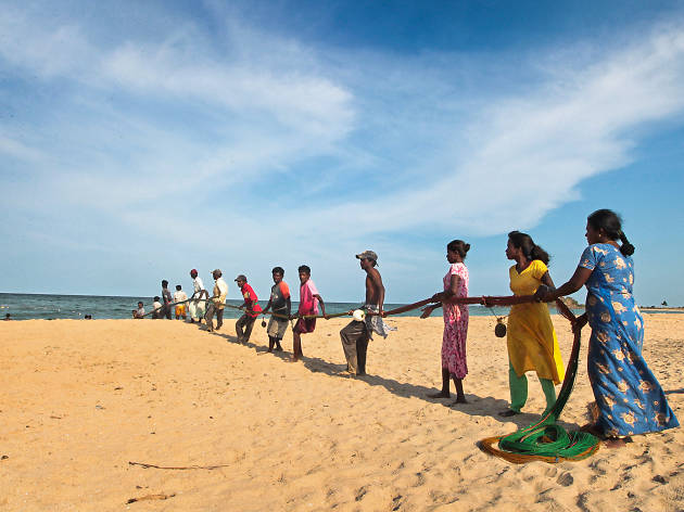 Hoi Hoi...Here Comes The Fish!! Shout ‘hoi...hoi’ with the fishermen in the delightful task of pulling nets ashore