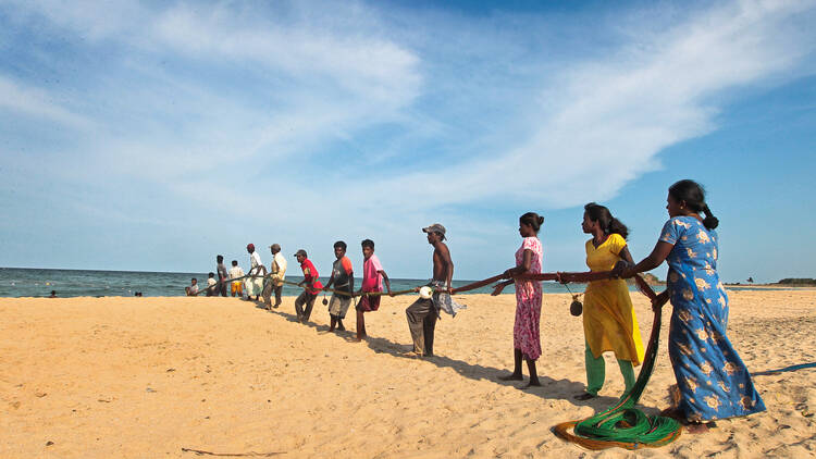 Shout ‘hoi...hoi’ with the fishermen in the delightful task of pulling nets ashore