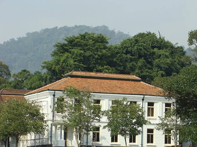 The National Herbarium