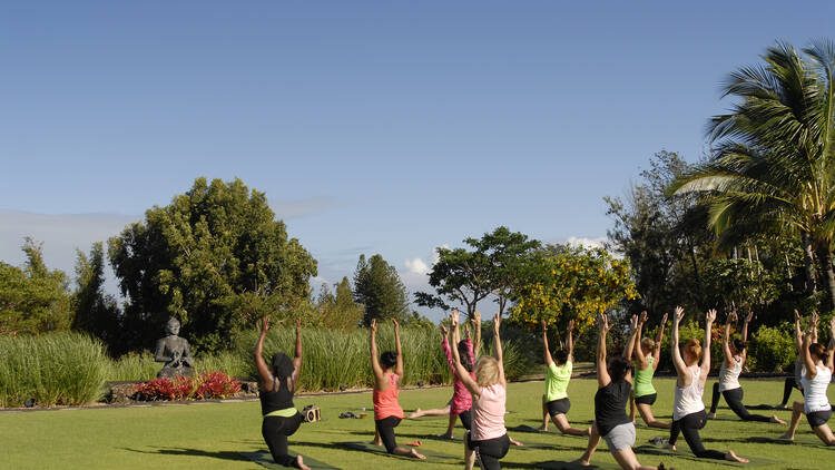 16 Best Yoga Retreats in the USA for Wellness Wanderlust