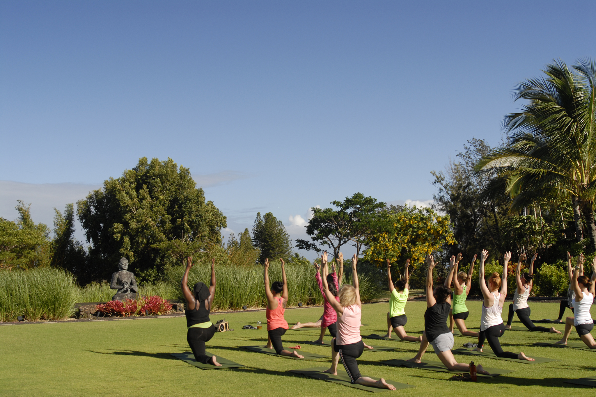 Green Lotus Yoga – Minnesota Workshops, Events & Retreats — Green