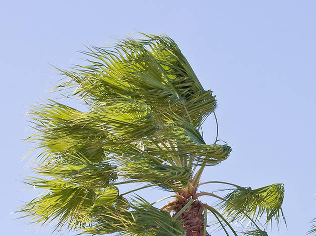 6 cosas que pasan en Barcelona cuando hace mucho viento