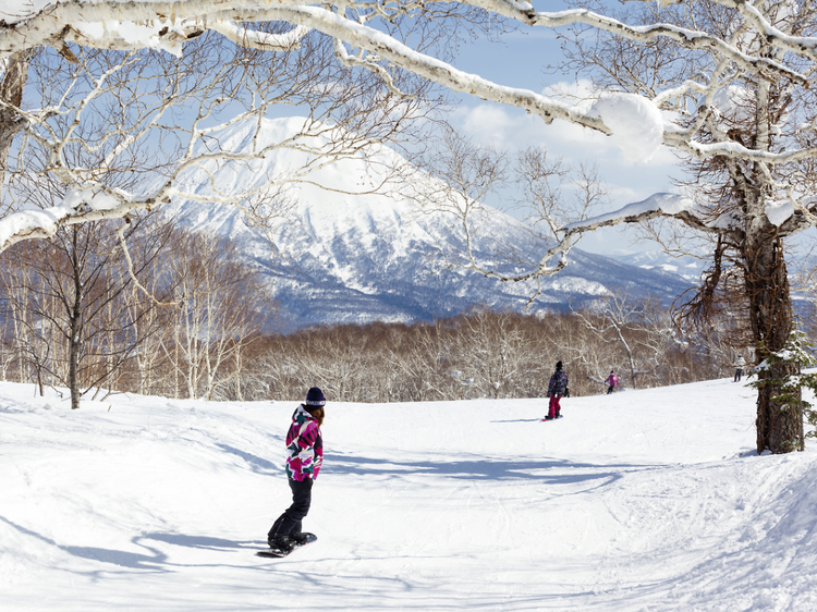 Hokkaido snow