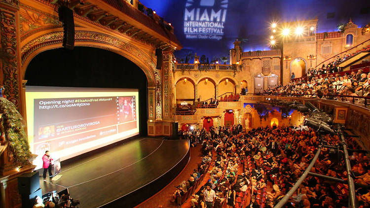 Catch a great flick at Miami Film Festival
