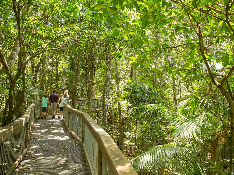 Sea Acres Rainforest Centre