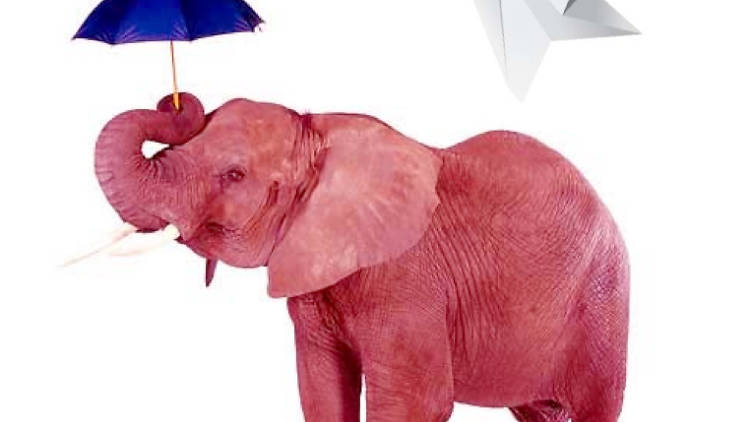 30 elephants under an umbrella