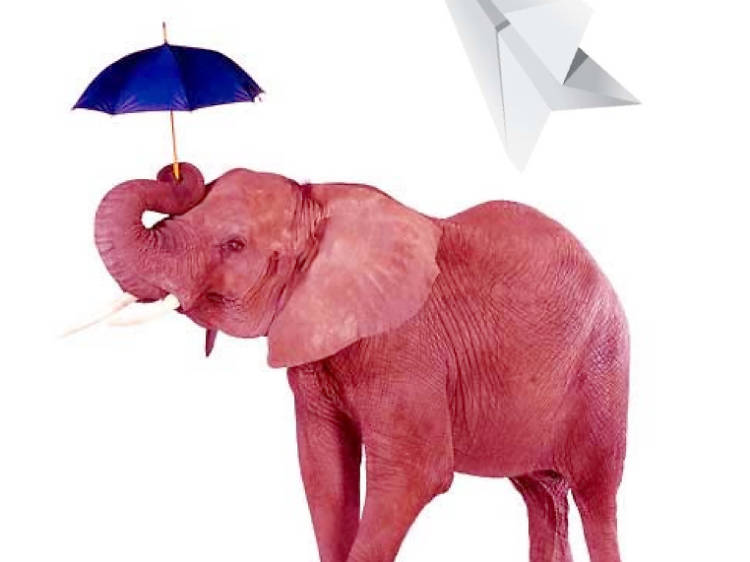 30 elephants under an umbrella