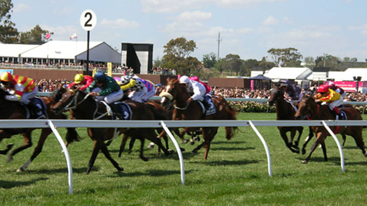 Flemington Racecourse