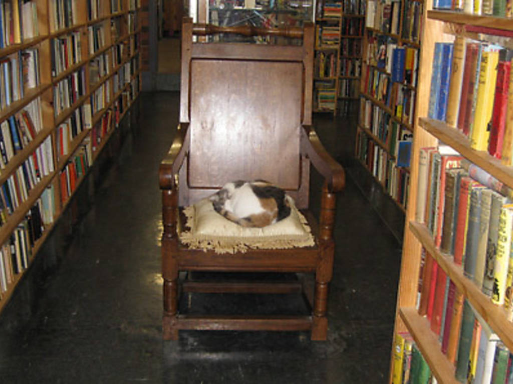 Melbourne visual data 8