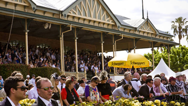 Bendigo Racecourse