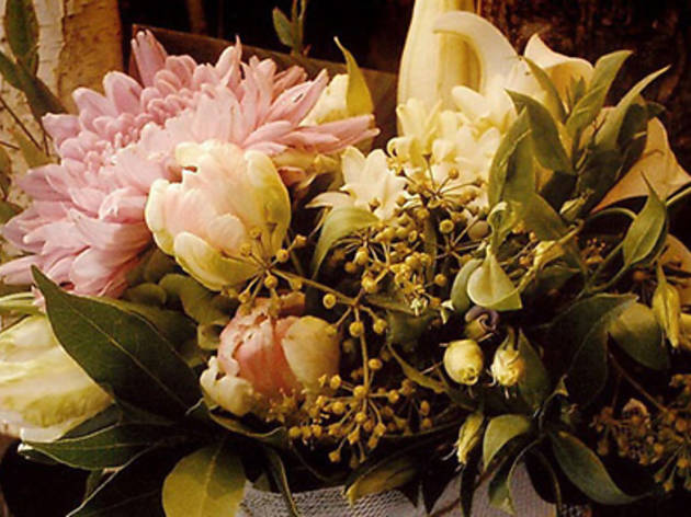 Pollon Flowers Pollon Flowers