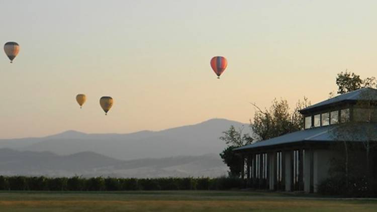 Stones of the Yarra Valley