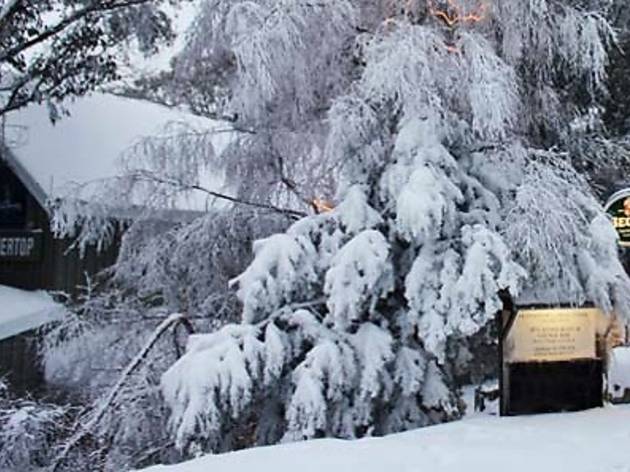 Feathertop Lodge Feathertop Lodge