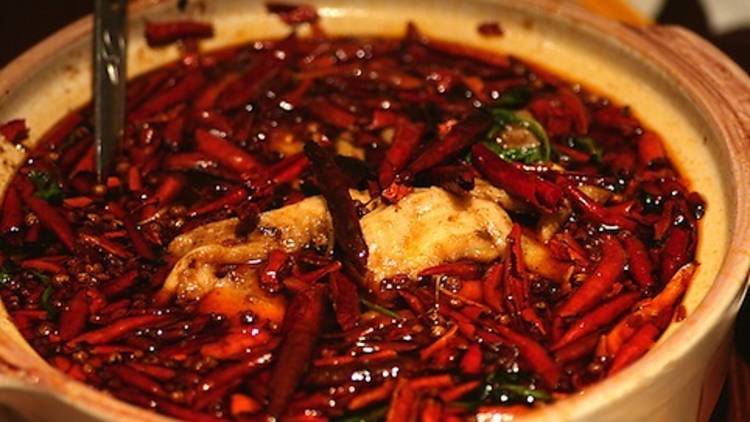 Spicy Fish | Restaurants in Melbourne, Melbourne