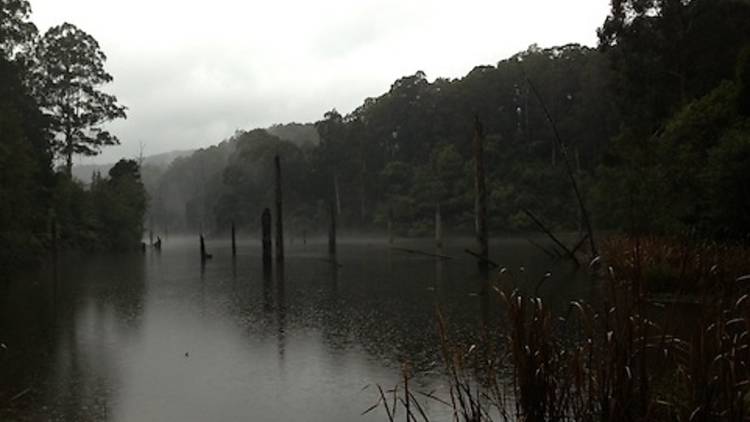 Paddle with the Platypus