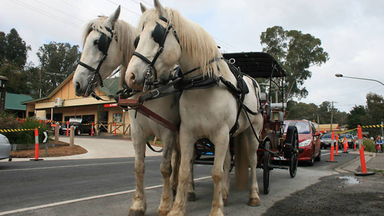 Around Hurstbridge