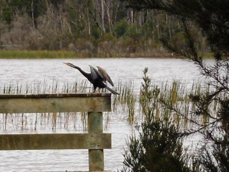 Lysterfield Lake