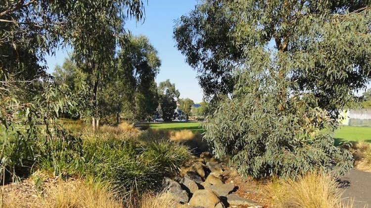 Australian Native Gardens