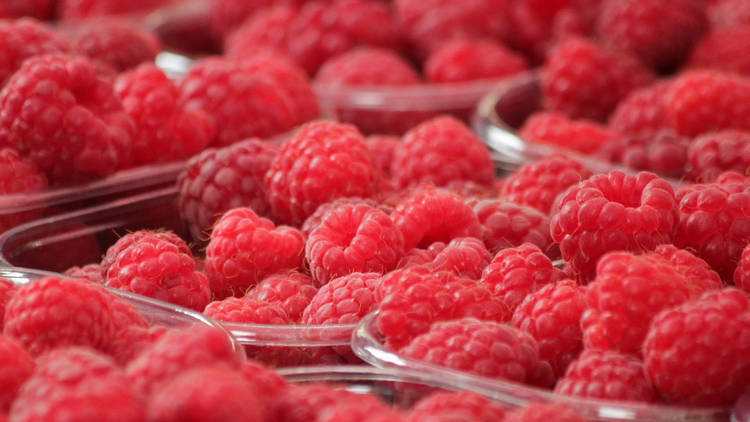 Lots of raspberries sitting in punnets