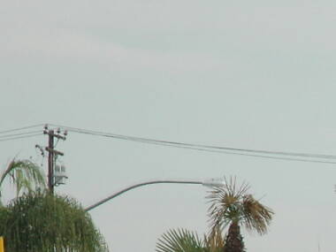 Lunar New Year Festival in Monterey Park Lunar New Year Festival in Monterey Park