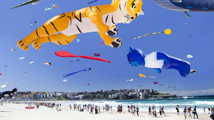 A shot of festival of winds at Bondi Beach