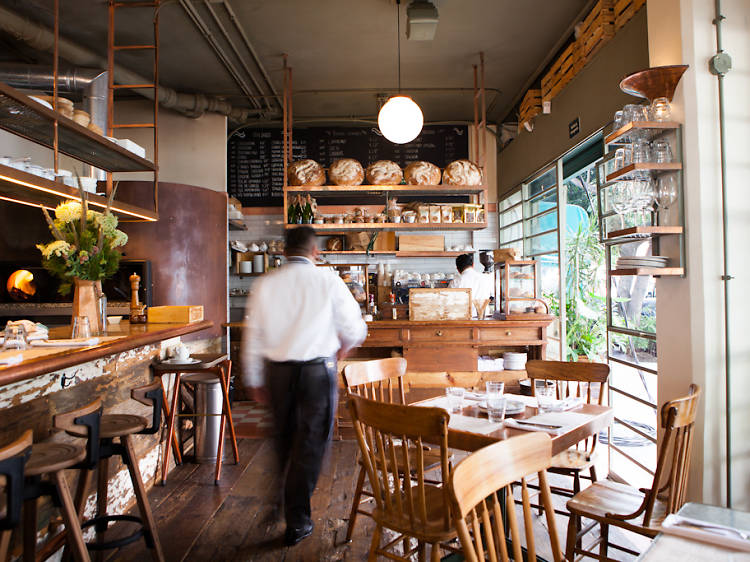 Restaurantes y cafés en la Condesa