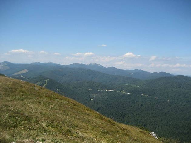 Risnjak Risnjak