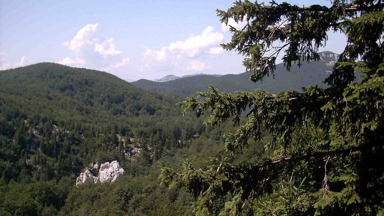 Gorski Kotar-Risnjak