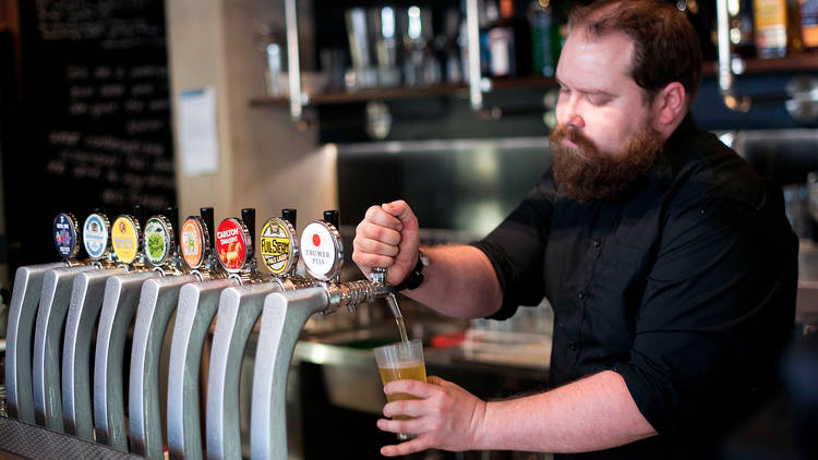 Bartender pours a beer from a tap