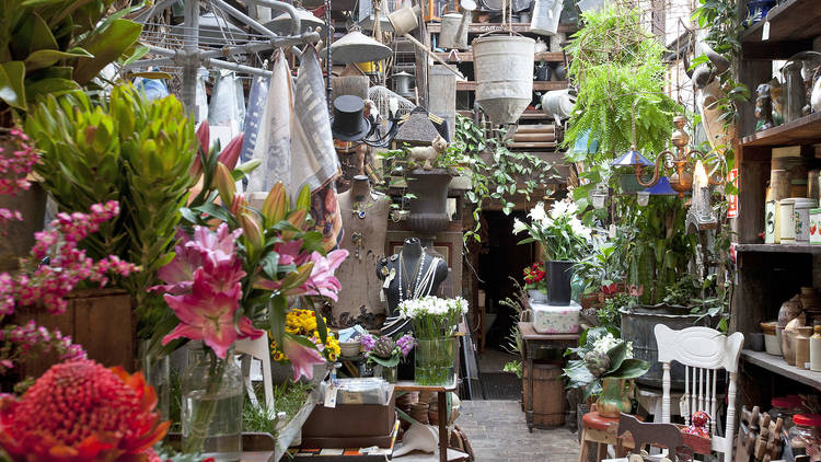 The best antique shops in Sydney