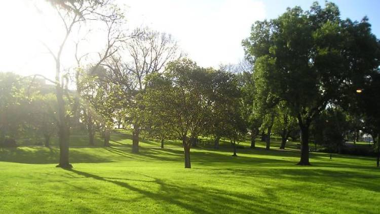 Flagstaff Gardens