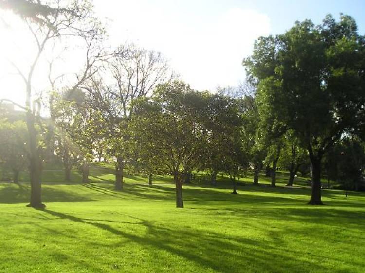 Flagstaff Gardens